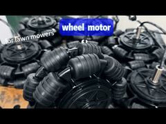 잔디 깎는 기계 를 선택 하는 것: 그 기계 의 가장 중요 한 부분 인 모터 를 정말 고려 해 보았는가?